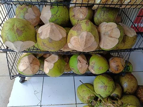 High angle of coconuts on a shelf and on the floor Stock Photos