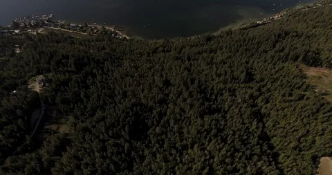 High angle craning shot of forested area to lake and mountain Video stock 93428130
