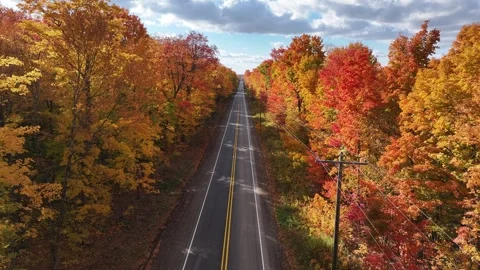 High Angle Drone Above A Rural Road With Vibrant Autumn Colors Aerial Stock Footage 315265803