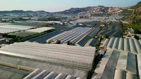 	 High angle drone aerial view of greenhouse fields of greens plantation inDemre Video stock 231240625
