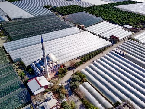 High angle drone aerial view of greenhouse fields of greens plantation in Dem Stock Photos