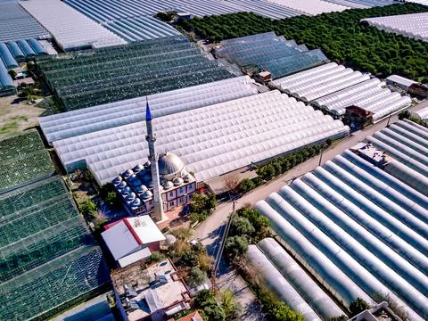High angle drone aerial view of greenhouse fields of greens plantation in Dem Stock Photos