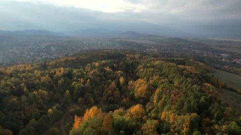 High angle drone flyback over vast autumn forest and valley. Stock Footage 338310253