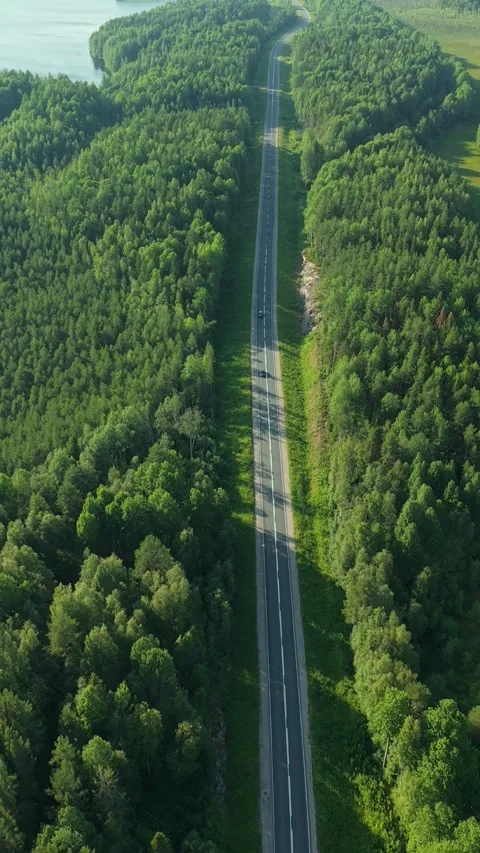 High-angle drone footage of a lone road running between lush woods, highlighting Stock-Footage 317903002