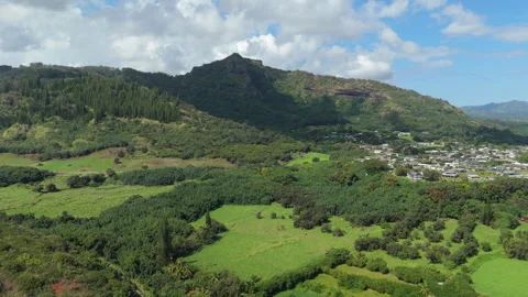 High Angle Drone Push Over East Kauai Homes Vídeos de archivo 327703280