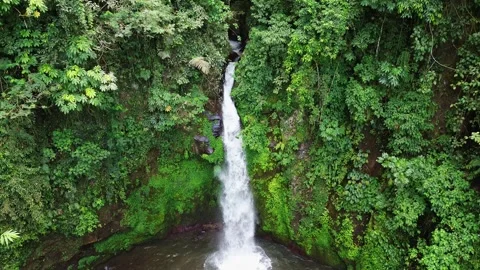 High angle drone shot of Batulantang Waterfall flowing down mossy wall, Bali Stock Footage 342551729