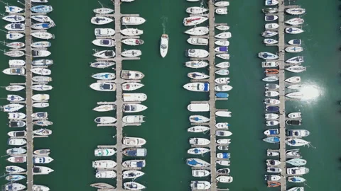 High angle drone shot of boats and yachts docked in the harbour. Stock Footage 244699478