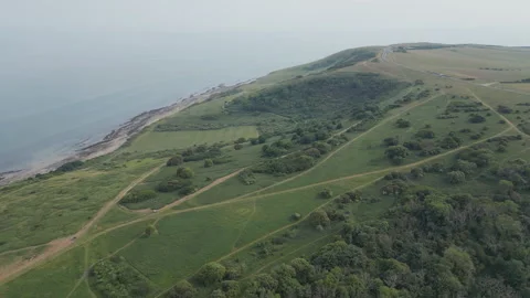 High angle drone shot of green fields by the ocean. Stock Footage 246510111