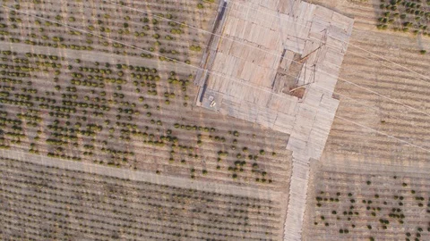 High Angle Drone Shot of a Large Christmas Tree Farm with Power Lines Stock Footage 128708853