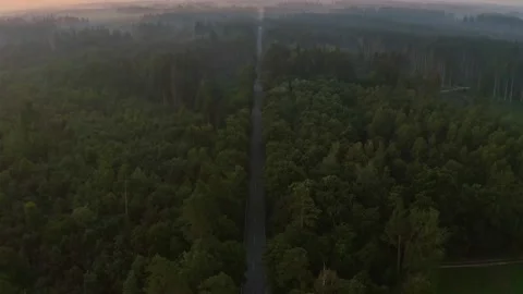 High angle drone shot of a large forest in summer at the sunrise, an empty Stock Footage 137641606