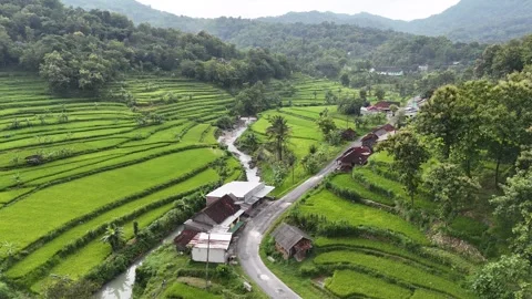 High angle drone shot of traditional Indonesian agriculture Stock-Footage 332538664