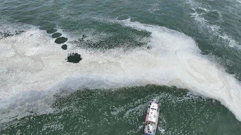 High angle drone shot of a whale safari boat at the sea in cloudy Oregon, USA Stock Footage 318516080