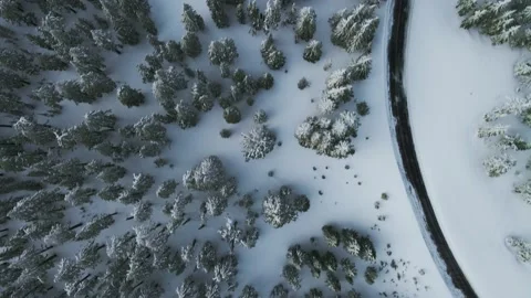 High angle drone shot of winding road in the winter woods, Oregon, USA Video stock 194181322