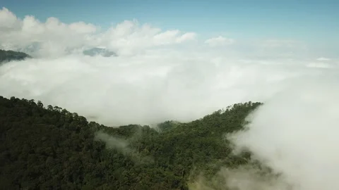 High Angle Drone View of Misty Tropical Mountain Peaks at Sunrise Stock-Footage 333697319