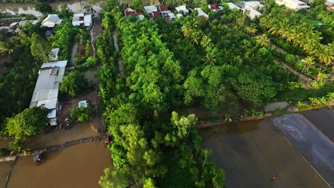 High Angle Drone View Of Rural River Village And Orchard Stock Footage 340454923