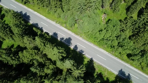 High Angle Drone View of a Straight Road Through Lush Green Summer Forest Video stock 314842460