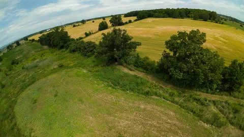 High angle drone view of a summer food plot and fields Stock Photos