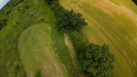 High angle drone view of a summer food plot and fields Stock Photos