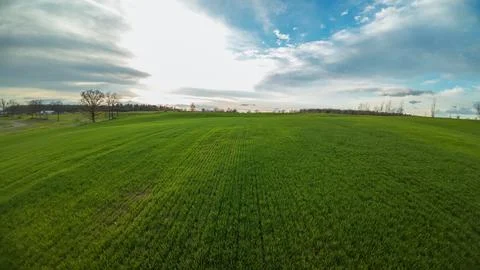 High angle drone view of a vibrant green agricultural field Foto stock