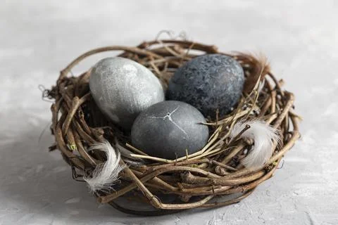 High angle easter eggs bird nest with feathers Stock Photos