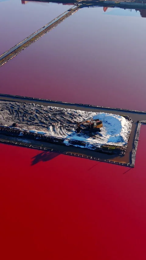 High angle of excavator working saltern island, Pomorie, Bulgaria Vertical Video stock 338007289