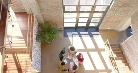 High angle of five diverse male and female colleagues in casual discussion in Stock Footage 337159309