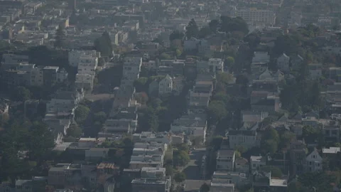 High angle fixed shot of houses and trees, San Francisco Видео 333576010