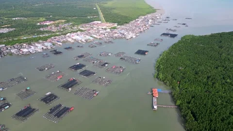High-angle flyover revealing kelong at Kukup 스톡 동영상 317006249