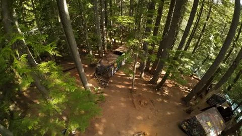High angle forest view of multiple graffiti train cars near a blue river Foto stock