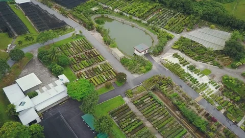 High angle forward aerial shot of a plant nursery Stock Footage 108230787