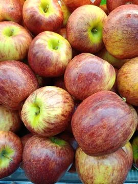 High angle of fresh apples in the display case Stock Photos