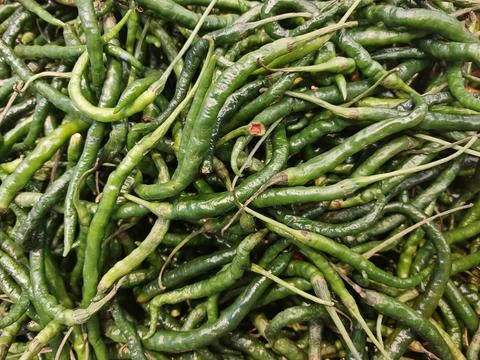 High Angle Full Frame of Fresh Green Curly Chili Peppers Stock Photos