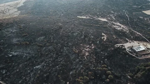 High angle of hill turned into ash because of the fire. Stock Footage 159602785