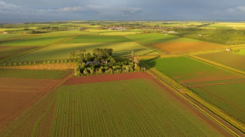 High angle horizontal aerial drone video clip of agriculture Vídeos de archivo 342993333