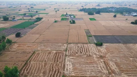 High angle hyperlapse view of rural farmland and green tree canopies in Nor.. 库存影片 339547338