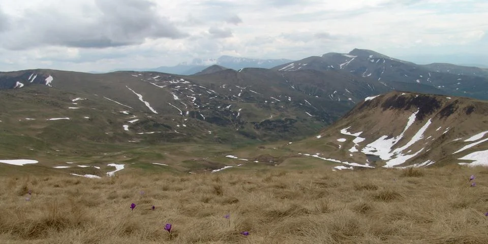 High angle landscape of a mountain valley with melting snowdrifts and bloomin Stock Photos
