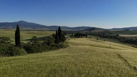 High Angle Landscape of Tuscan Wheat Field and Cypress Cluster Vidéo 347250450
