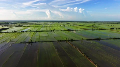 High Angle Landscape View Of Young Rice Seedling Plots In Rural Vietnam Stock Footage 340548119