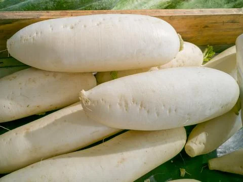 High angle. Leafless white turnip (Raphanus sativus subsp). Stock-Fotos