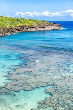 High angle lookout point view of the idyllic turquoise lagoon at Hanauma Ba.. Stock Photos