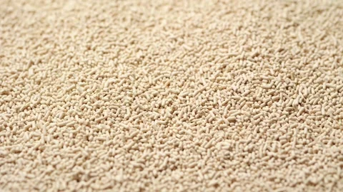 A high-angle macro shot of Active dry yeast Vidéo 333571103