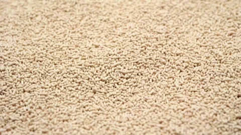 A high-angle macro shot of Active dry yeast Vidéo 333571130