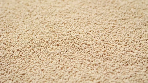 A high-angle macro shot of Active dry yeast Vidéo 333571131