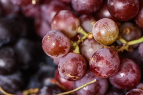 High Angle Macro Shot of Fresh Red Grapes Bunch, Organic Sweet Fruit Textur.. Stock Photos