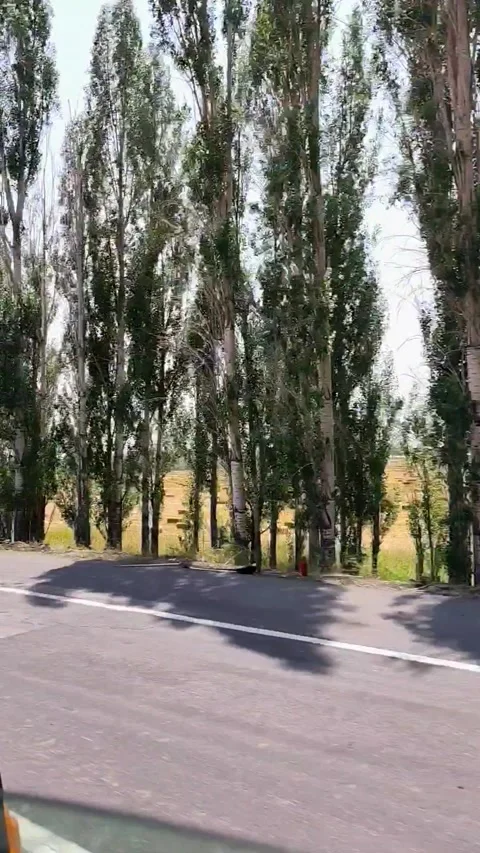 A high-angle, moving shot from a vehicle looking out over a sprawling valley 動画素材 333376572