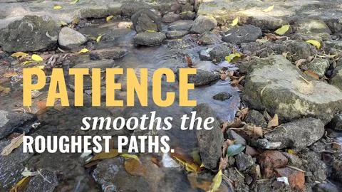 A high angle outdoor perspective displays clear natural stream water flowin.. Stock Photos