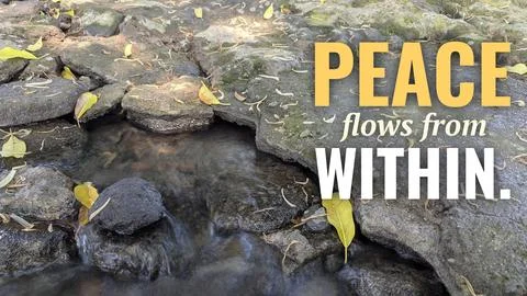 A high angle outdoor perspective displays smooth clear natural stream water.. Stock Photos