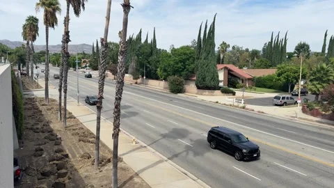 High angle over a palm-lined boulevard toward the mountains, LA Video stock 344084039