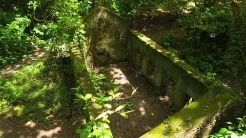 High Angle Pan over Mossy Stone Building Ruins in Tropical Forest at Anse Stock Footage 346813460