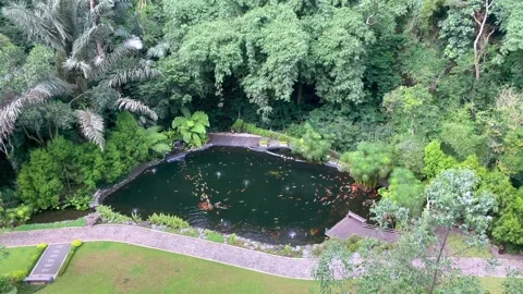 High angle panning shot of a garden, showing a fish pond and lush forest. Stock Footage 320478702